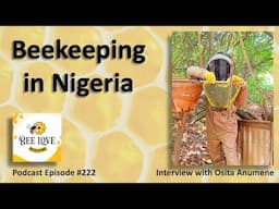 Beekeeping in Nigeria - Harvesting Honey at Night