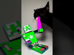 Minecraft ASMR Mukbang Eating Pink Sword 💗 Cat