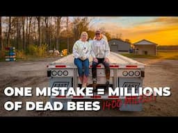 She Drives 20 Million Bees Across America. Without Her, Farms Would Fail!