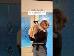 How-To: Make a Cat Comfortable in a New Home👇🏻