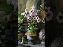 The Garden Room at our Suzie Anderson Home Moss Vale store #simplyelegant #interiorstyling