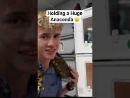 Holding a Huge Anaconda at @SnakeDiscovery’s Reptile Zoo!