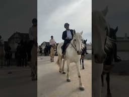 Ever seen so many horses on the beach 😱 #horses