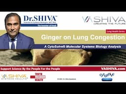 Dr.SHIVA™: Ginger on Lung Congestion. A CytoSolve® Analysis(02/24)