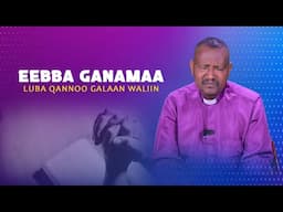 Eebba Ganamaa Luba Qannoo Galaan Waliin / 584