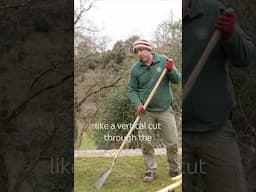 How to renovate your lawn the organic way #plants #grass #lawncare