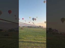 Hot Air Balloon in Luxor Egypt #shorts