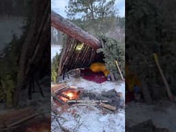 Building a winter survival shelter. Kyro’s POV and all he cares about is his Open Farm dinner