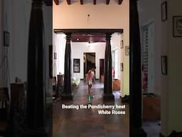#beatthesummerheat in #pondicherry the #architecture of #whiteroses #home #sustainableliving