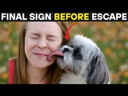 10 Sneaky Signs Your Dog Is Planning to Escape ( Scientists Warn )