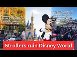 Guests are FURIOUS about the strollers at Disney World