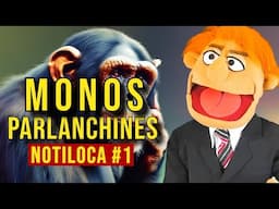 📢 Learn Spanish with Crazy News! 🐒🗣️ | Chimpancés que Hablan (B2-C2) #SpanishListeningPractice