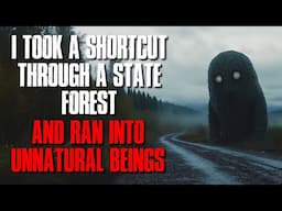 I Took a Shortcut Through a State Forest and Ran into Unnatural Beings.
