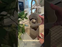 Neoplants Neo PX - houseplant that purifies the air #plants #airpurifier
