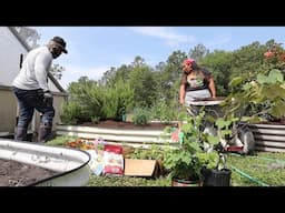 DITL: BECOMING HOMESTEADERS AND BUILDING A HOMESTEAD & SO MUCH MORE