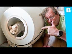 Dit kan toch bijna niet voor dat geld? 🙀