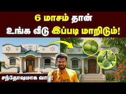 உங்க வீட்டை சொர்க்கமாக மாற்றலாம்😍 | வீட்டிலேயே பழத்தோட்டம் வைப்பது இப்படித்தான் | Home Garden