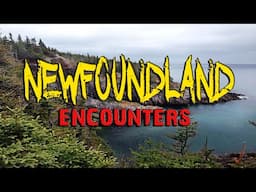 That Was NOT a Bear: 4 Terrifying Encounters From NEWFOUNDLAND, Canada