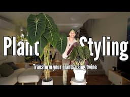 Transform Your Plants with this Simple Trick
