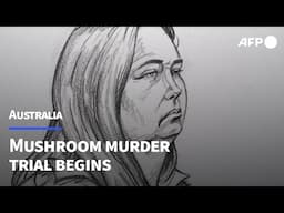 Long-awaited mushroom murder trial begins in Australia | AFP