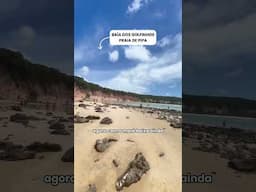 VOCÊ É BRASILEIRO?