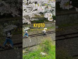 Favorite city in Japan for cherry blossoms is Kyoto 🌸🇯🇵 #japantravel #kyoto