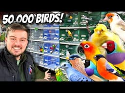 GIANT Bird Market in the UK - Newark 2025