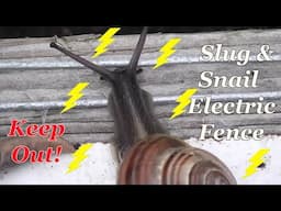 The Ultimate Slug & Snail Deterrent