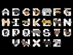 Animal ABCs - The Kids' Picture Show