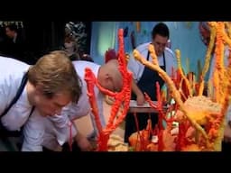 Edible Coral Reef - Heston Blumenthal