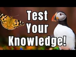 Can you answer these 8 wildlife questions correctly?