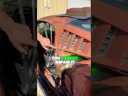 Saving 1 Fastback at a Time