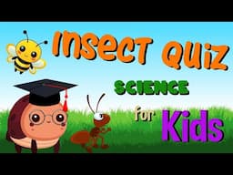 Insect Quiz | Science for Kids