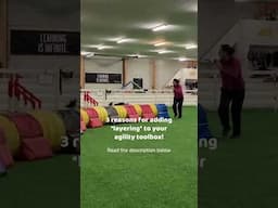 3 reasons why you should add layering to your dog agility toolbox!