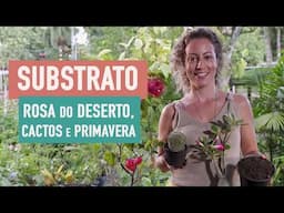 Como preparar o SUBSTRATO PERFEITO pra CACTOS, ROSA do DESERTO e PRIMAVERA