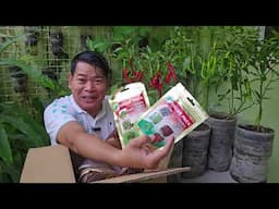 UNBOX KO PINADALANG PACKAGE NG RAMGO #farming #gardening #seeds #farmer #farm