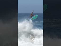 Flying way from the boats