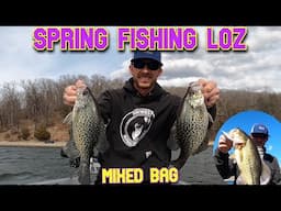 Spring Crappie & Bass Fishing | Lake of the Ozarks