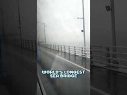 This Bridge on sea never ends! Hongkong Zhuhai Macao Bridge #shorts #macao #hongkong # bridge #sea