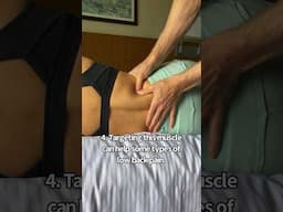 Quadratus Lumborum (QL) Muscle Mobilization