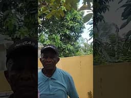 la FAMILIA de MAMATINGO en LUGAR ACTUAL DONDE LA ASESINARON
