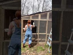 Painting Hardware Cloth Black! #chickencoop #shortsvideo