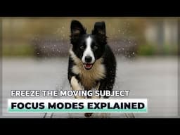 Simple Tips To Master FOCUS On Moving Subjects Now