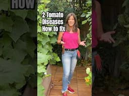2 Common Tomato Diseases & How to Fix