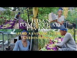 VLOG | Urban Homestead Living | Using Rabbit Manure | Exciting Chicken News | Failed Plantings