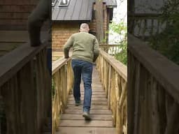 FOUR Amazing Treehouses in Washington State #shorts
