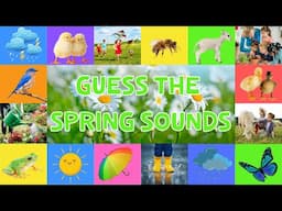 Guess the Spring Sounds for Kids | Fun Spring Listening Game  | 4K