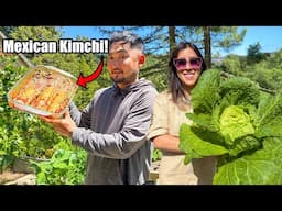 First Large Homestead Harvest | Let's make Kimchi