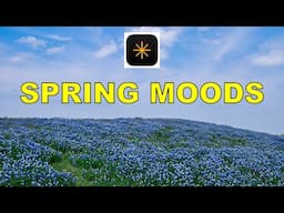 Perfect Spring Edits + FREE Luminar Presets & Skies