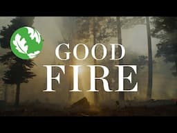 Good Fire: Restoring New Mexico’s Forests